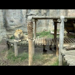 Meet your Posher, Mark